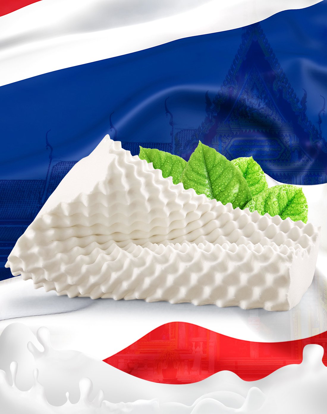 经营范围为乳胶制品制造、销售；货物进出口；技术进出口