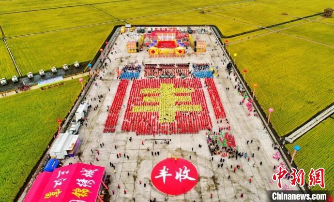 2024富锦半程马拉松：5000余名跑者在稻田间起跑